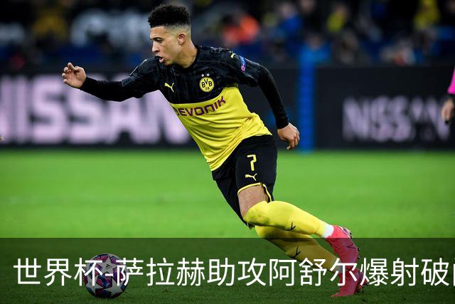 世界杯-萨拉赫助攻阿舒尔爆射破门 埃及半场1-0比利时